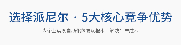 选择派尼尔 · 5大核心竞争优势